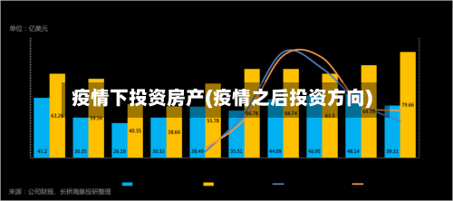 疫情下投资房产(疫情之后投资方向)