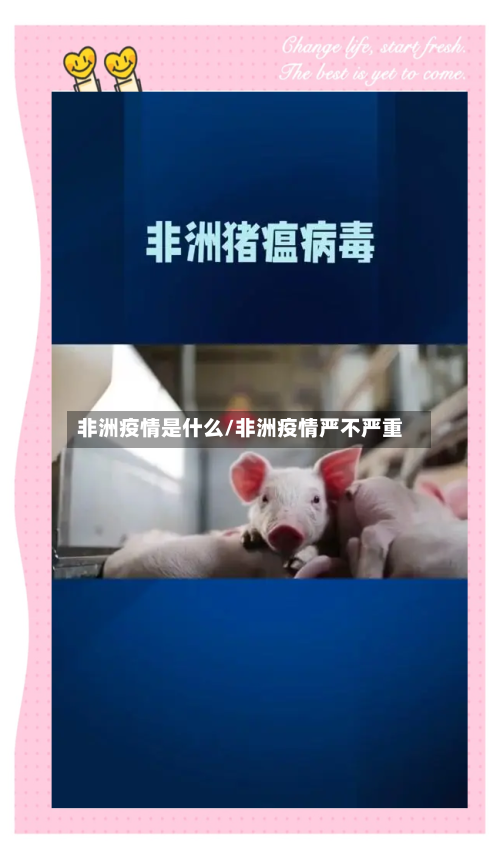 非洲疫情是什么/非洲疫情严不严重