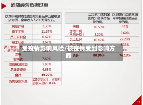 受疫情影响风险/被疫情受到影响方面-第2张图片