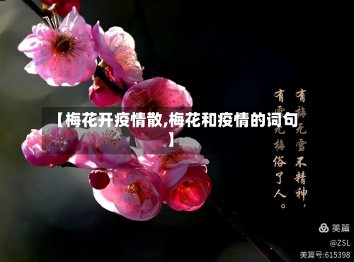 【梅花开疫情散,梅花和疫情的词句】-第2张图片
