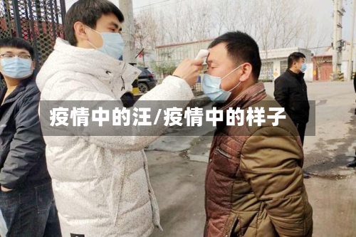 疫情中的汪/疫情中的样子