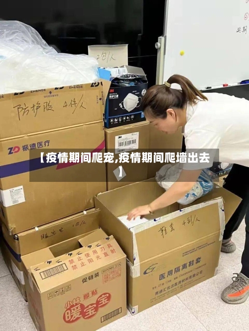 【疫情期间爬宠,疫情期间爬墙出去】-第3张图片