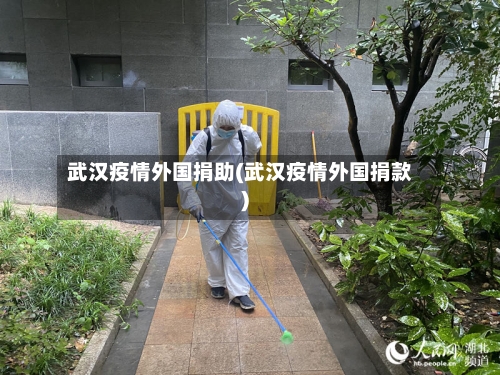 武汉疫情外国捐助(武汉疫情外国捐款)