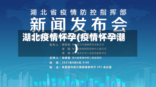 湖北疫情怀孕(疫情怀孕潮)-第2张图片