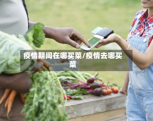 疫情期间在哪买菜/疫情去哪买菜