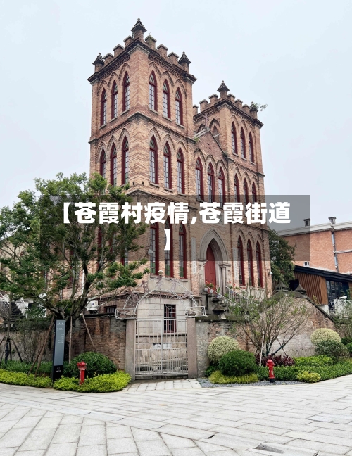 【苍霞村疫情,苍霞街道】-第3张图片