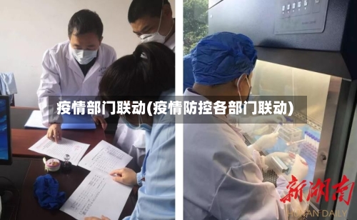 疫情部门联动(疫情防控各部门联动)