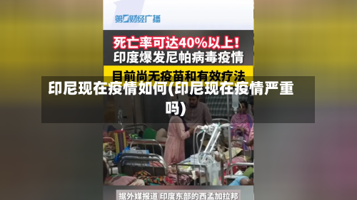 印尼现在疫情如何(印尼现在疫情严重吗)