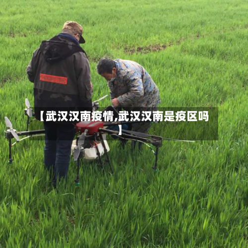【武汉汉南疫情,武汉汉南是疫区吗】-第2张图片
