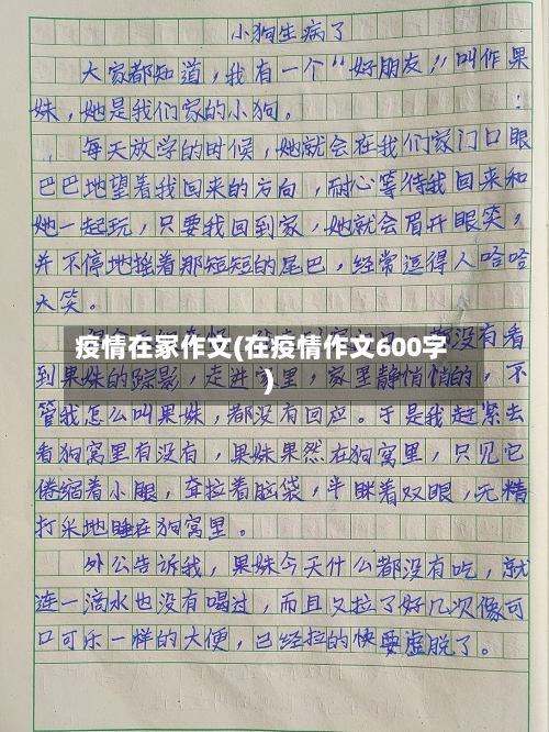 疫情在冢作文(在疫情作文600字)