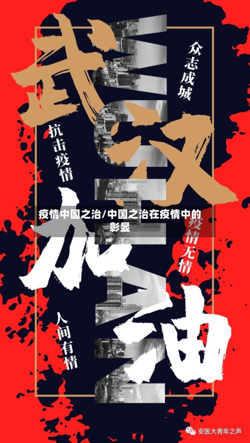 疫情中国之治/中国之治在疫情中的彰显-第2张图片