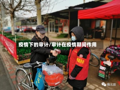 疫情下的审计/审计在疫情期间作用