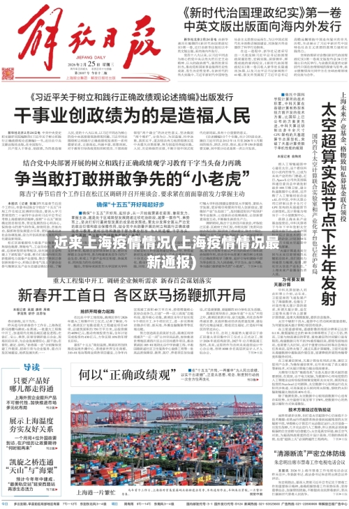 近来上海疫情情况(上海疫情情况最新通报)-第3张图片
