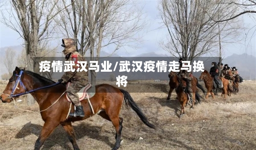 疫情武汉马业/武汉疫情走马换将
