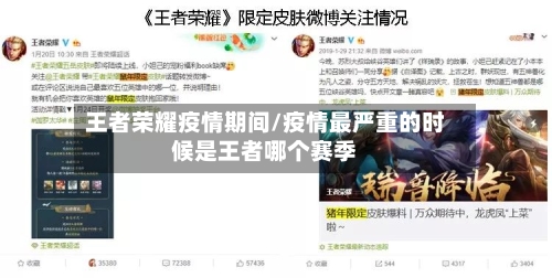 王者荣耀疫情期间/疫情最严重的时候是王者哪个赛季-第2张图片