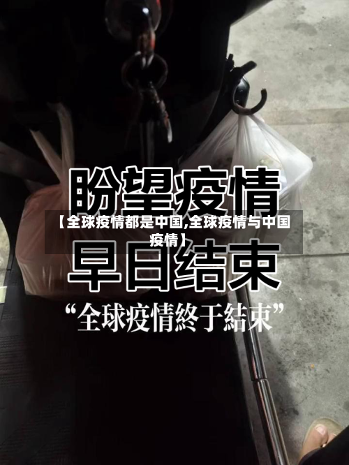 【全球疫情都是中国,全球疫情与中国疫情】-第2张图片