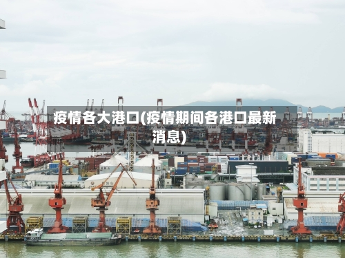疫情各大港口(疫情期间各港口最新消息)