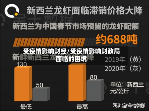受疫情影响财经/受疫情影响财政局面临的困境-第2张图片