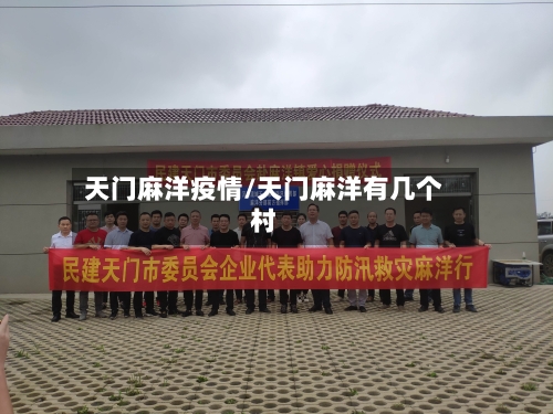 天门麻洋疫情/天门麻洋有几个村-第3张图片