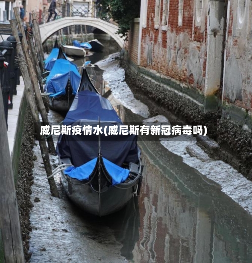 威尼斯疫情水(威尼斯有新冠病毒吗)-第2张图片