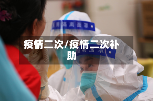 疫情二次/疫情二次补助