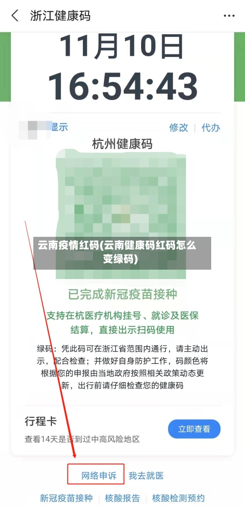 云南疫情红码(云南健康码红码怎么变绿码)-第3张图片