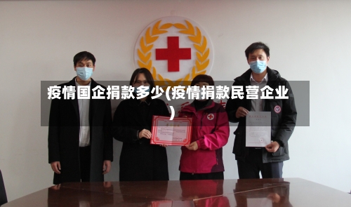 疫情国企捐款多少(疫情捐款民营企业)-第2张图片