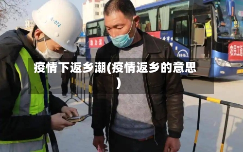疫情下返乡潮(疫情返乡的意思)-第3张图片