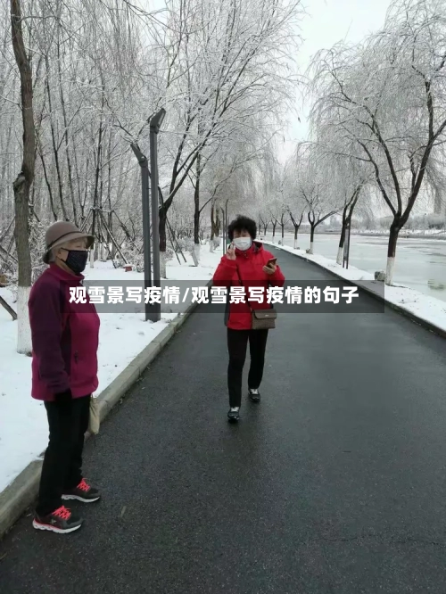 观雪景写疫情/观雪景写疫情的句子