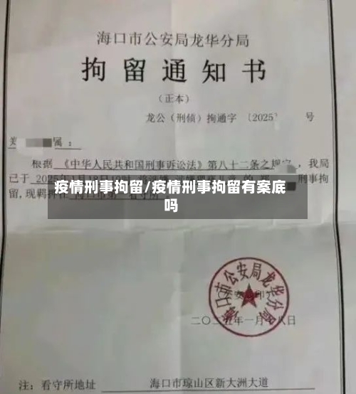 疫情刑事拘留/疫情刑事拘留有案底吗-第2张图片