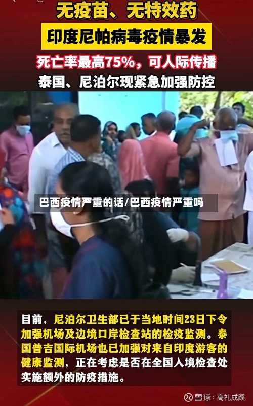 巴西疫情严重的话/巴西疫情严重吗