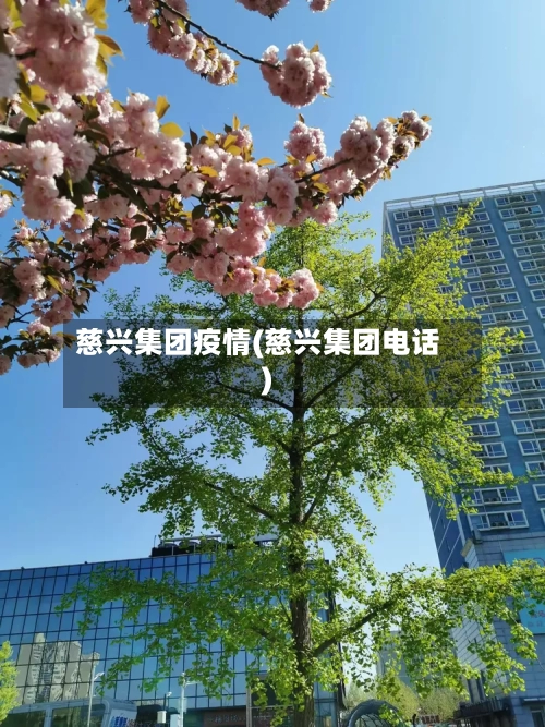 慈兴集团疫情(慈兴集团电话)-第3张图片