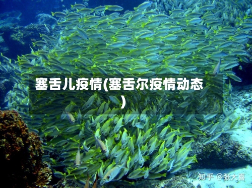 塞舌儿疫情(塞舌尔疫情动态)-第3张图片