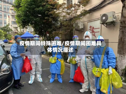 疫情期间特殊困难/疫情期间困难具体情况描述