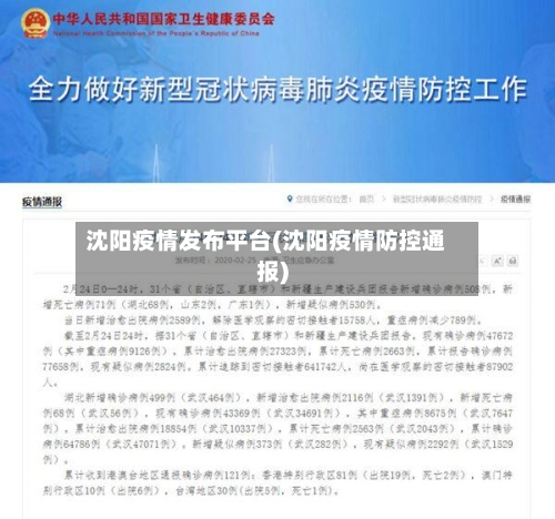 沈阳疫情发布平台(沈阳疫情防控通报)-第2张图片