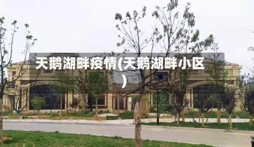 天鹅湖畔疫情(天鹅湖畔小区)