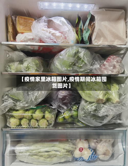 【疫情家里冰箱图片,疫情期间冰箱囤货图片】-第3张图片