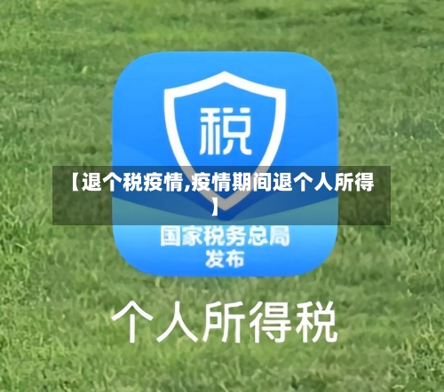 【退个税疫情,疫情期间退个人所得】