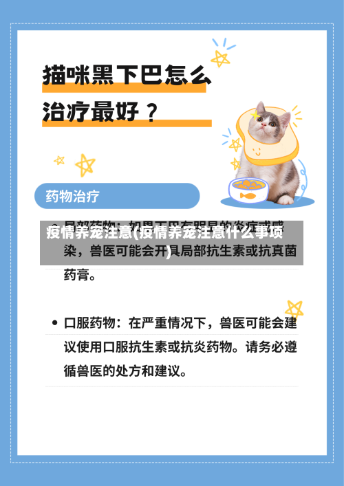 疫情养宠注意(疫情养宠注意什么事项)-第3张图片