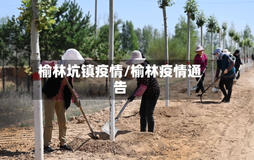 榆林坑镇疫情/榆林疫情通告