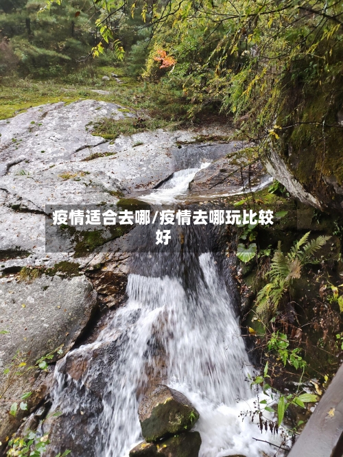 疫情适合去哪/疫情去哪玩比较好-第3张图片