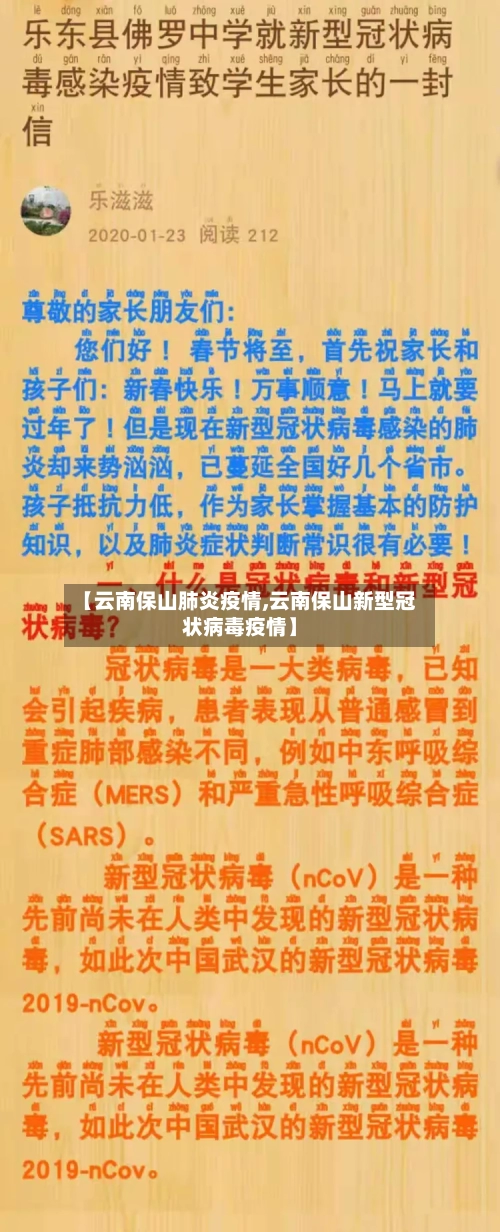 【云南保山肺炎疫情,云南保山新型冠状病毒疫情】-第3张图片