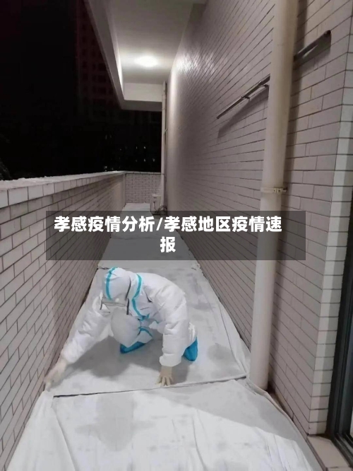 孝感疫情分析/孝感地区疫情速报