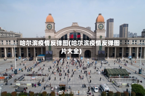 哈尔滨疫情反弹图(哈尔滨疫情反弹图片大全)-第2张图片