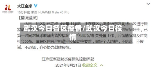 武汉今日各区疫情/武汉今日役情