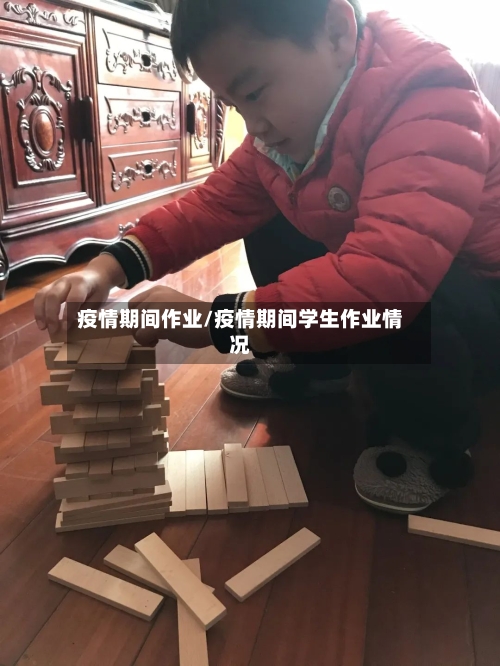 疫情期间作业/疫情期间学生作业情况
