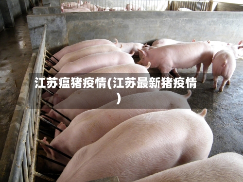 江苏瘟猪疫情(江苏最新猪疫情)