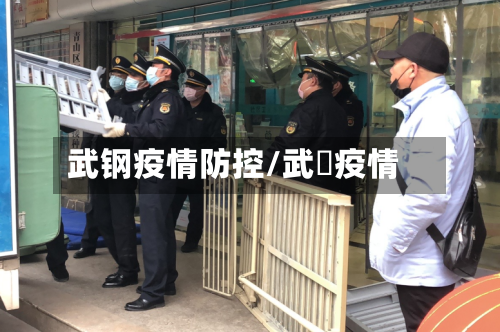 武钢疫情防控/武汓疫情-第2张图片