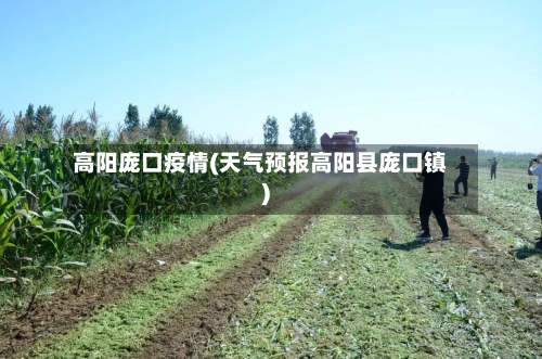 高阳庞口疫情(天气预报高阳县庞口镇)-第2张图片