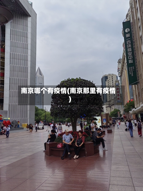 南京哪个有疫情(南京那里有疫情)